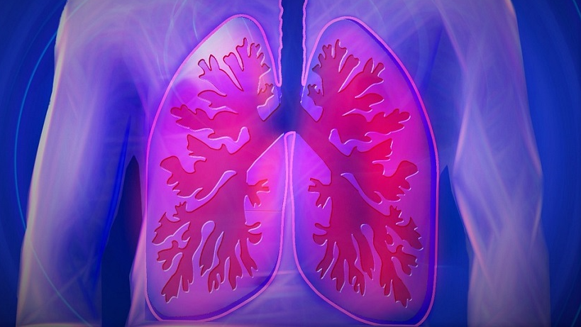 a new 3d human lung model to shed light on respiratory diseases
